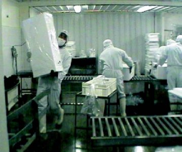 industria salmon (55)  ALIMENTOS MERCADO